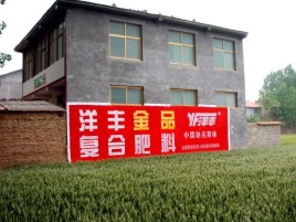 广汉如何让墙体广告展现最大化效果