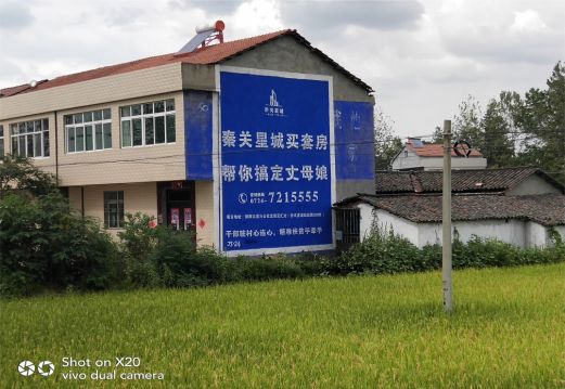 广汉决定墙体广告价格的因素有哪些？